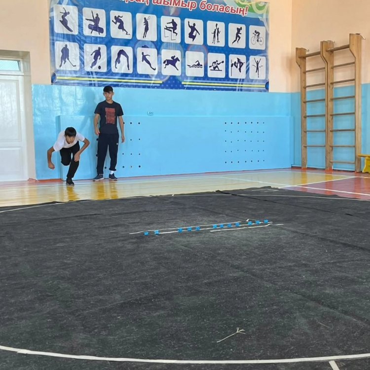 "Ұлттық мектеп лигасы"