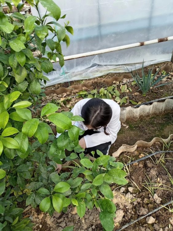 «ТАЗА ҚАЗАҚСТАН» АКЦИЯСЫ ӨТКІЗІЛДІ