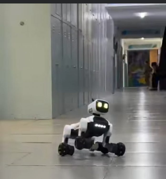 «Цифры әлемге сенімді қадам»